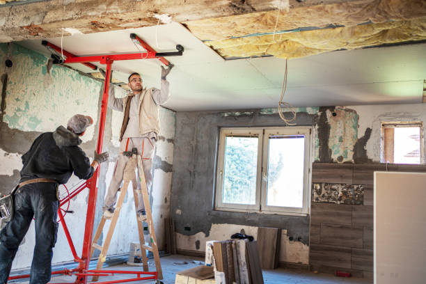 Best Insulation Removal  in Ashland, PA